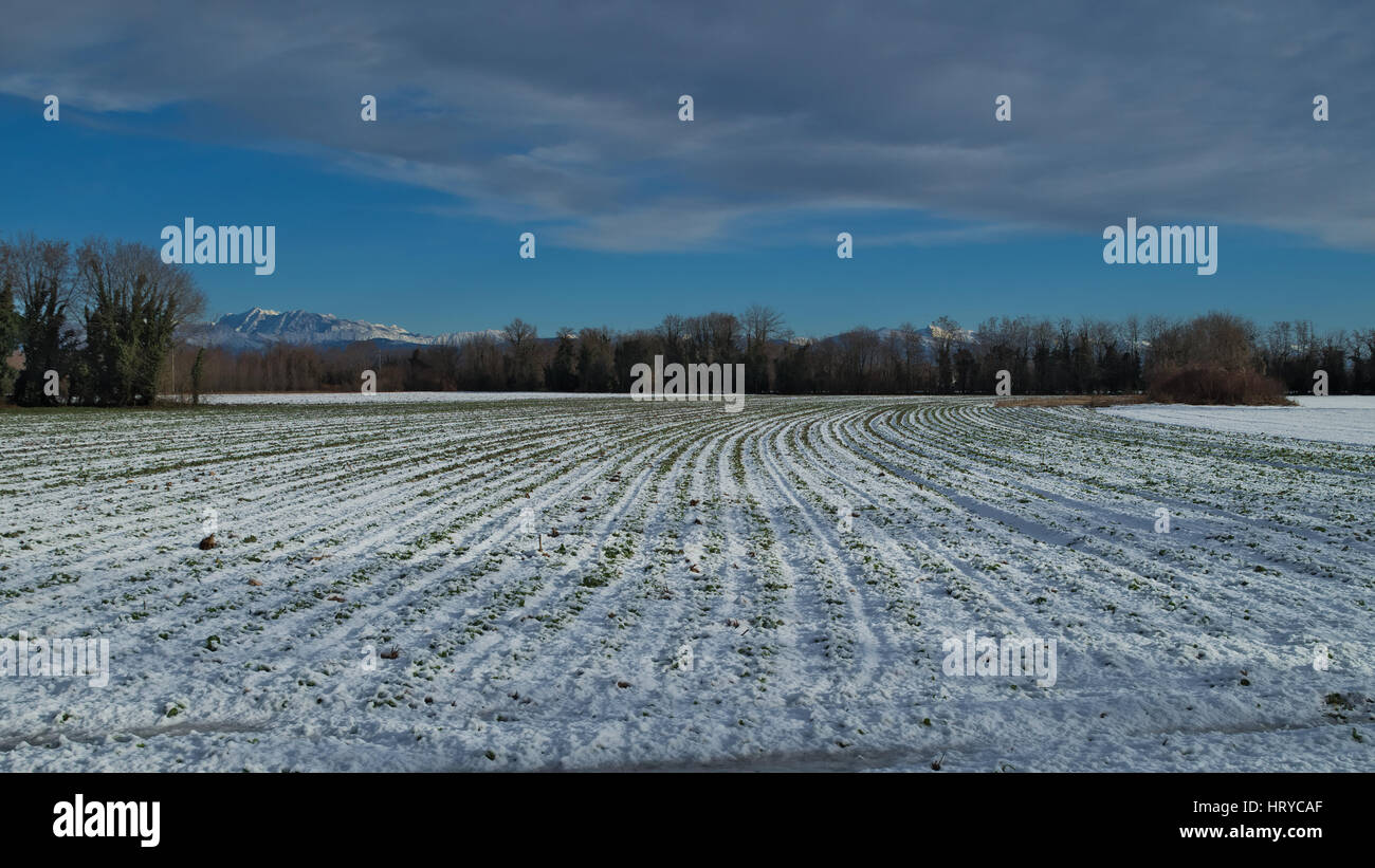 View of the countryside with a bit of snow in the winter season and the italian Alps mountains on the background Stock Photo