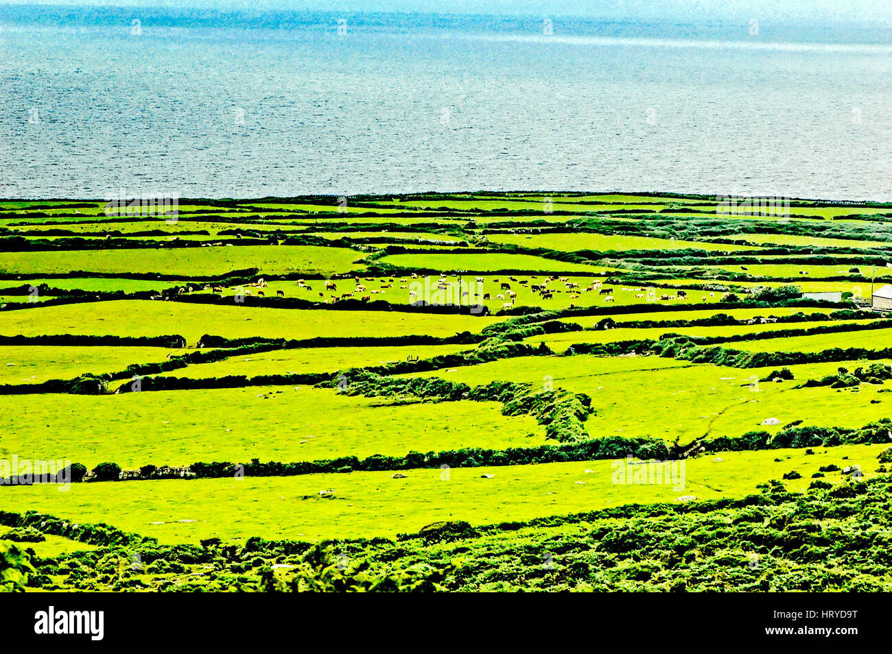 Cornish landscape near St. Ives Stock Photo
