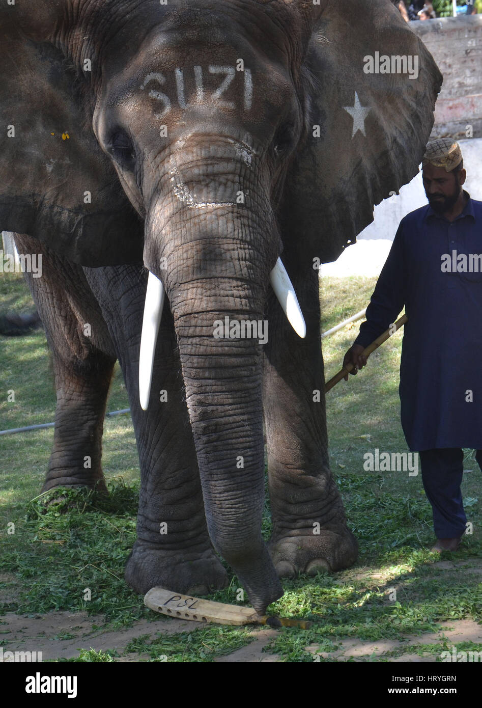 Lahore, Pakistan. 05th Mar, 2017. Cricket fever grips not only humans