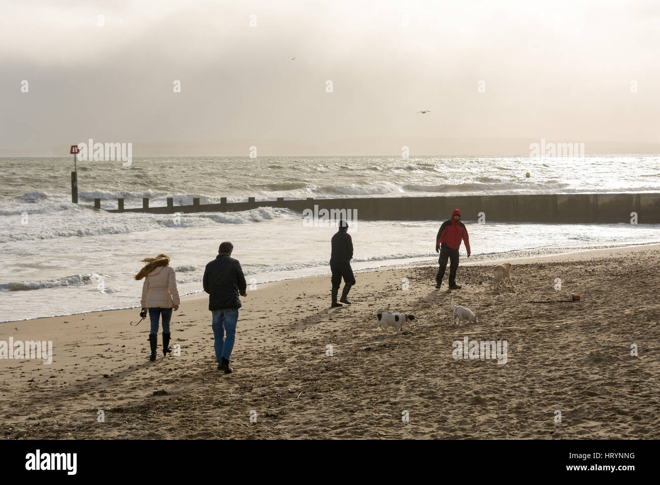 Boscomber, Bournemouth, Dorset, UK. 5th Mar, 2017. Winds gust to gale force on the south coast as heavy showers pass over at speed. A cold westerly air flow is blowing the rain showers swiftly through the region. Credit: Paul Biggins/Alamy Live News Stock Photo