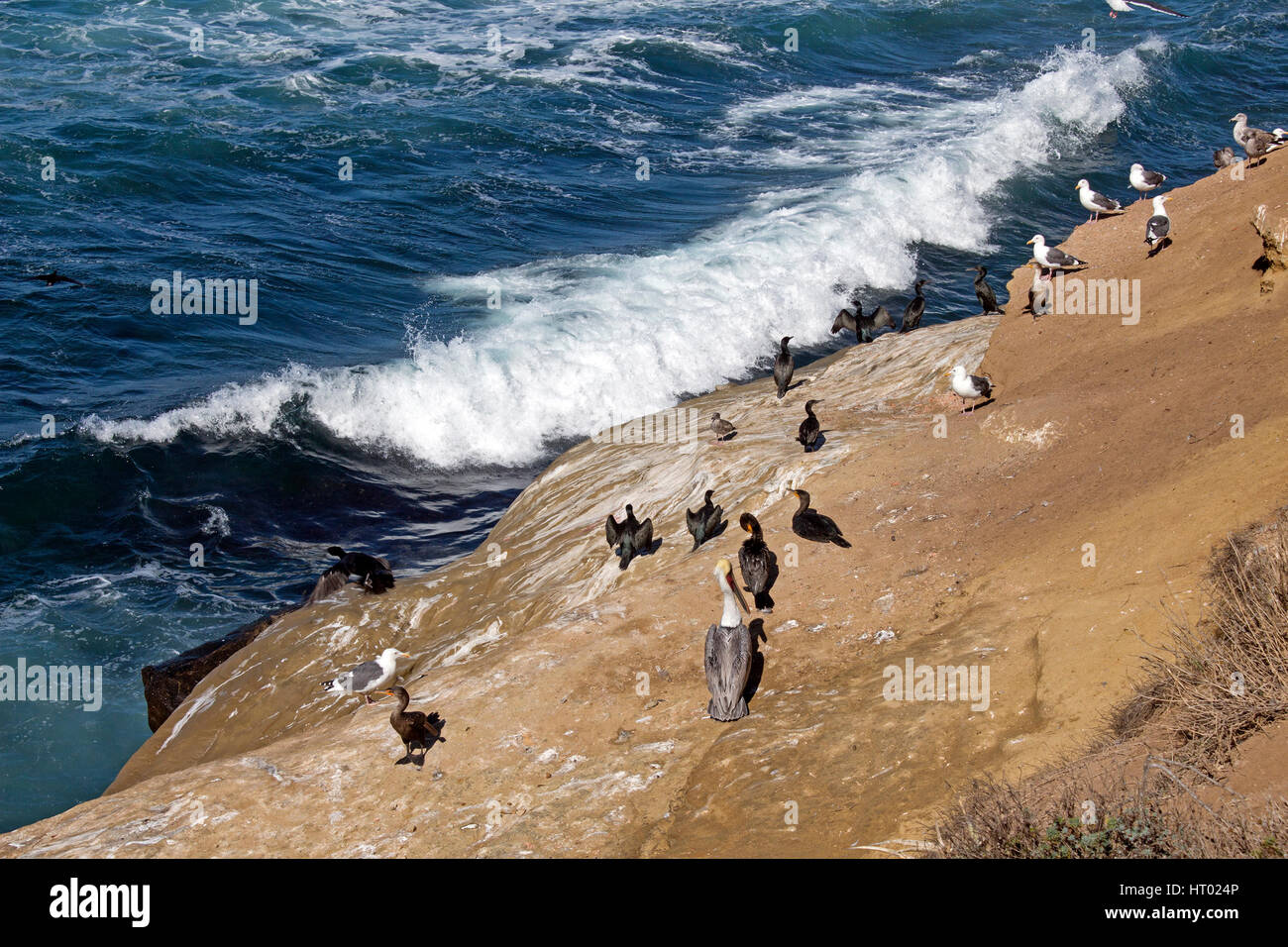 Day along coastal La Jolla, a tourist destination in San Diego,California, USA Stock Photo