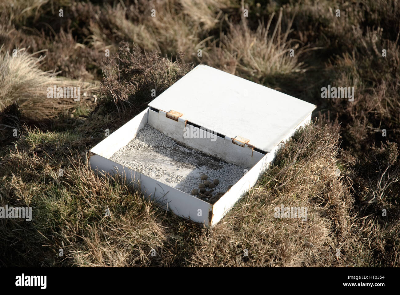 A grit station on a Lammermuir grouse shooting moor. Grouse require grit as part of their diet - sometimes is it medicated to treat worm infestations. Stock Photo