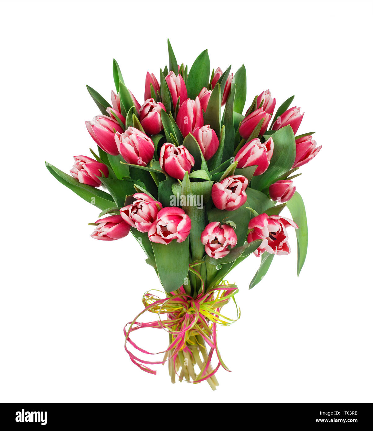 Bouquet of tulip flowers over white background Stock Photo - Alamy