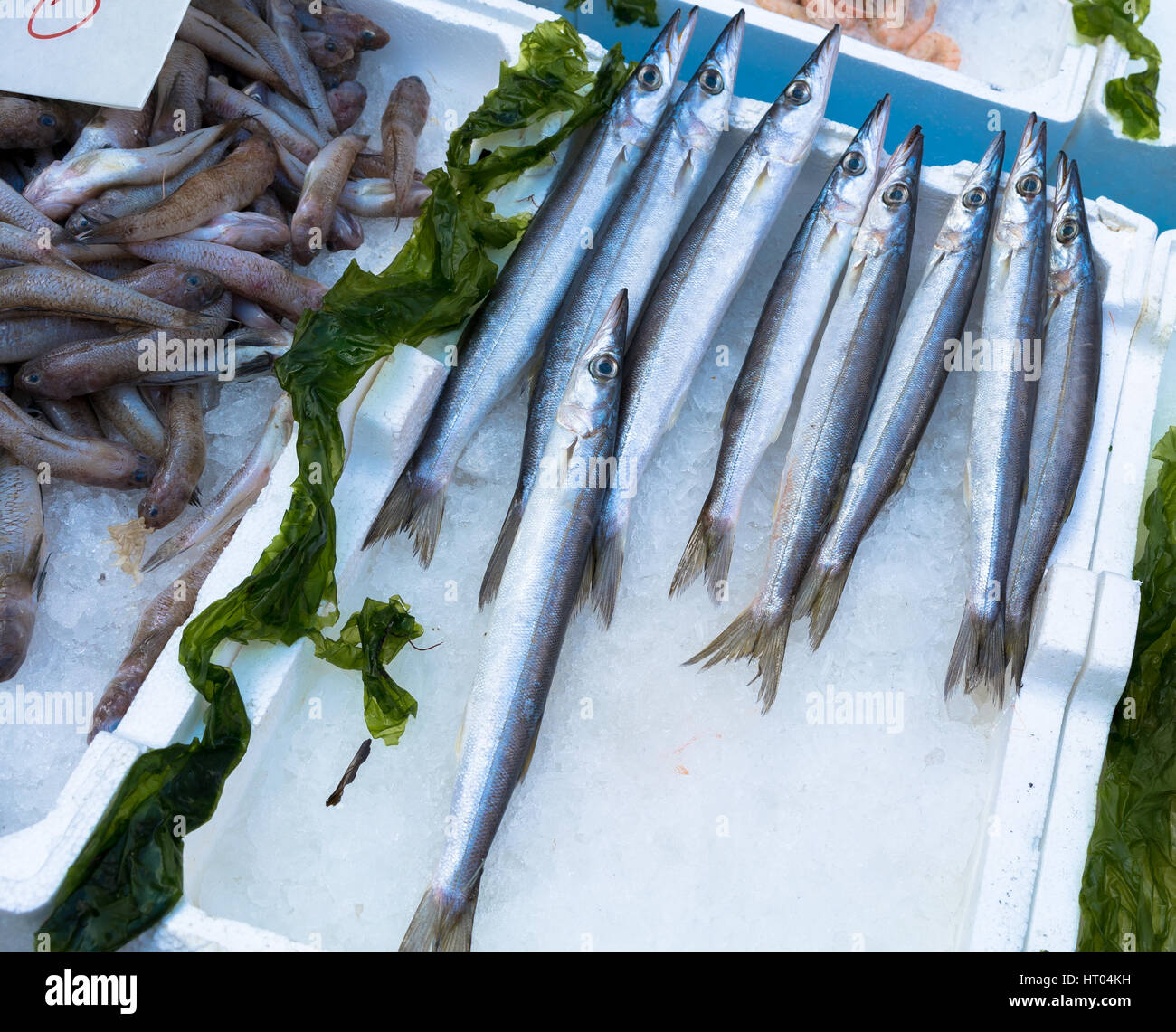 Garfish on the  fish market. Napoli, Italy Stock Photo
