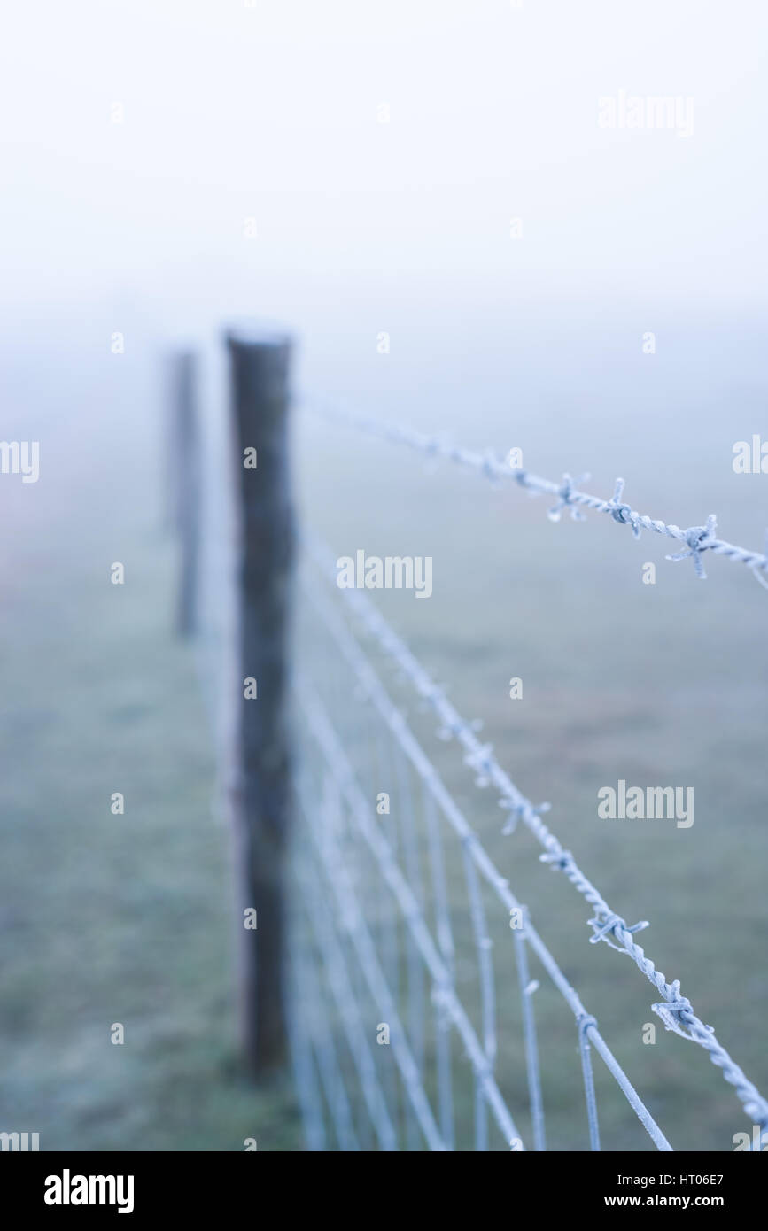 Barbed wire fence in misty and foggy condition at Corfe Castle, Dorset, UK Stock Photo