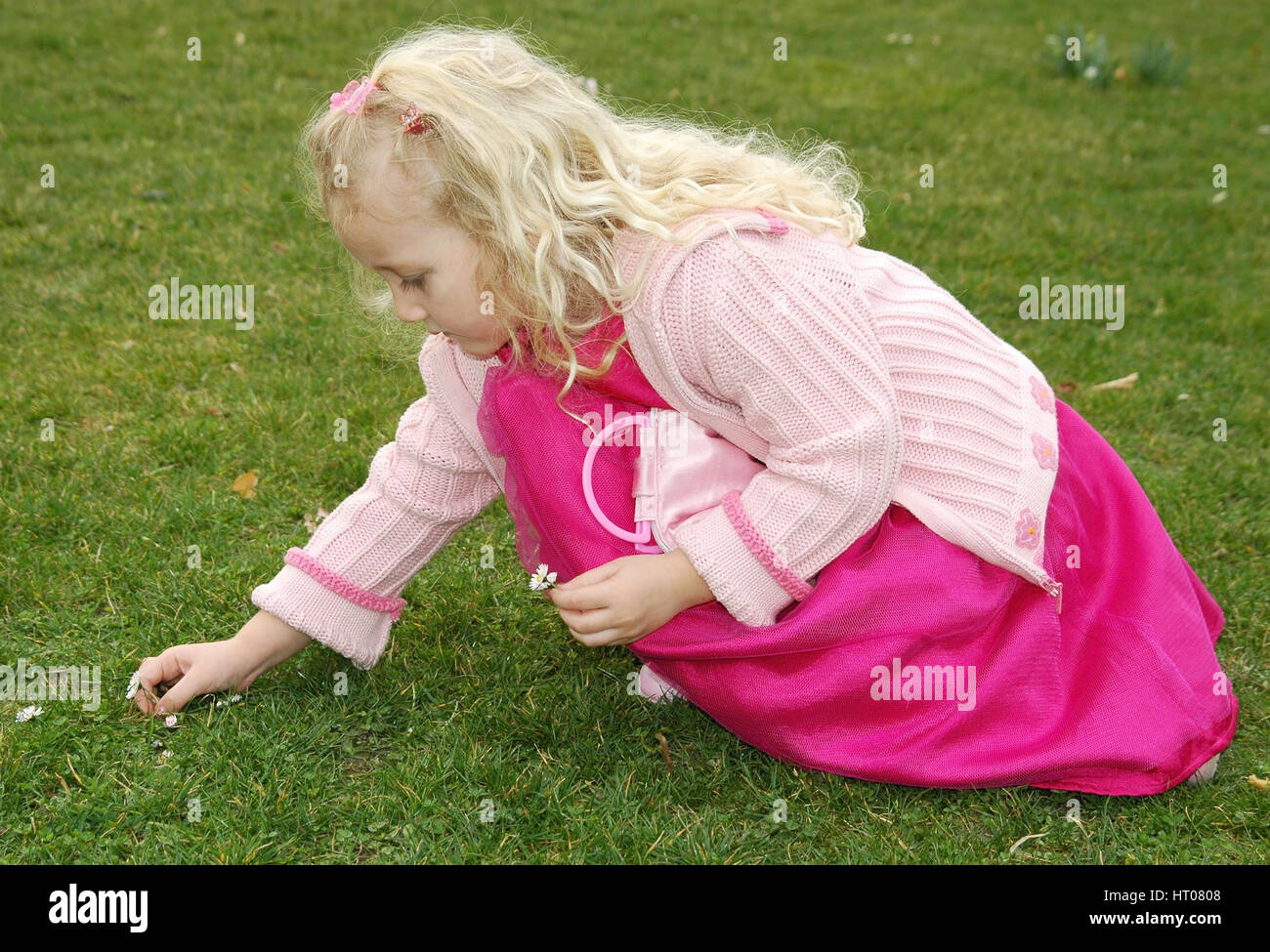 Maedchen pflueckt Gaensebluemchen in der Wiese - girl plucks daisies in meadow Stock Photo
