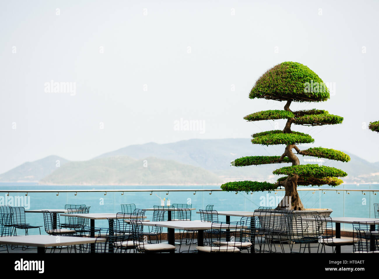 asian exotic cafe outdoors. Bonsai trees background Stock Photo Alamy
