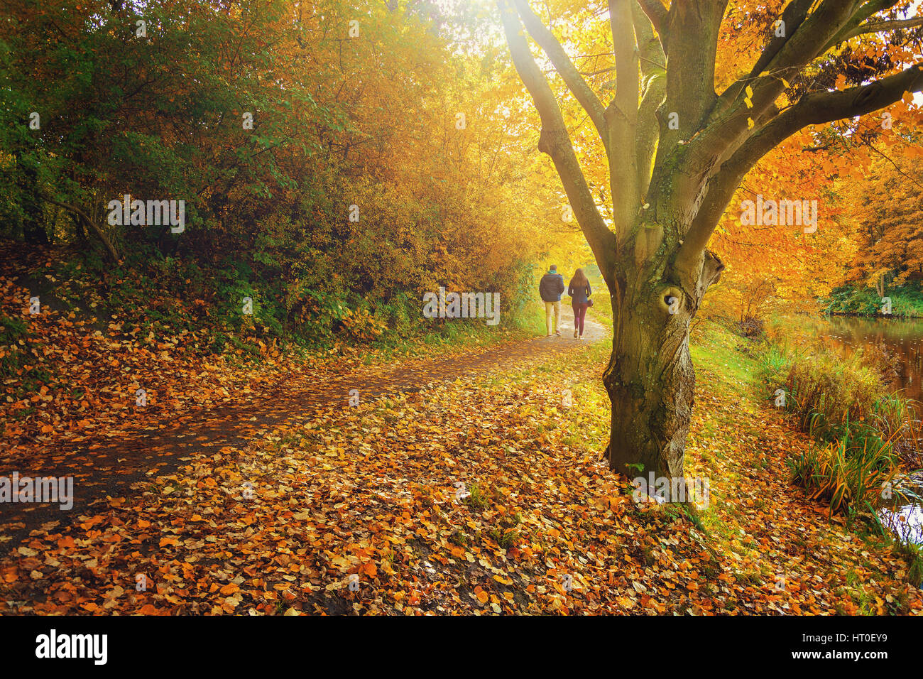People walking by the old autumn park Stock Photo - Alamy