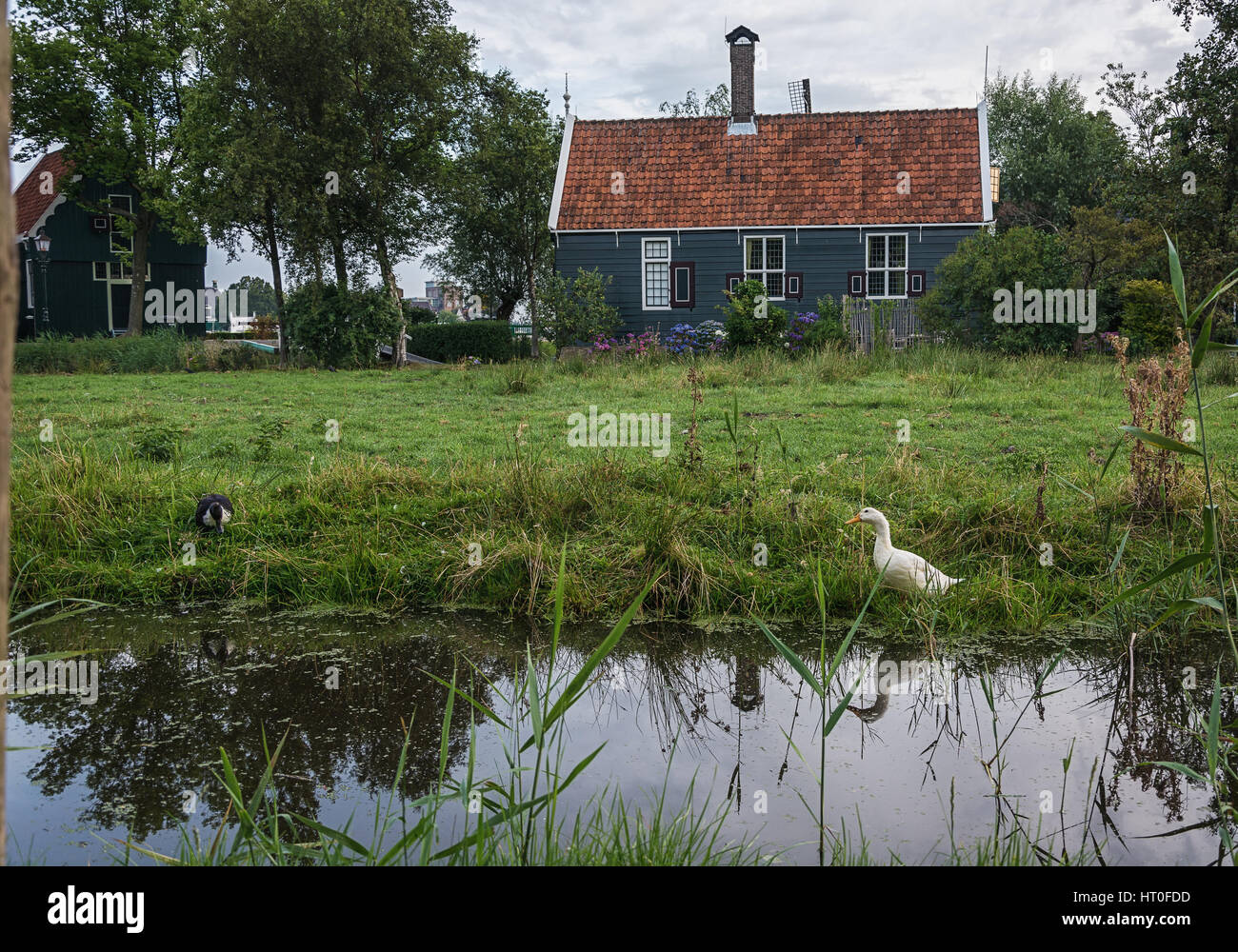 A small house with a slate roof and a small garden with ducks on the canal gardens. Stock Photo