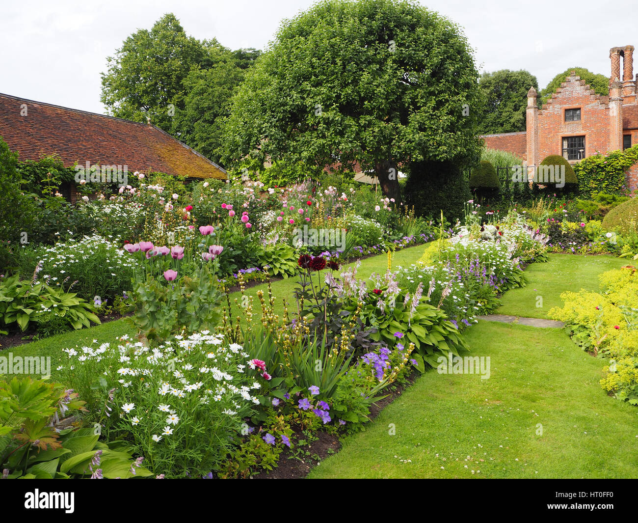 Sunken garden at Chenies Manor in early July. Lush new growth and herbaceous borders. Facing the manor house, old apple tree and tearoom. Stock Photo