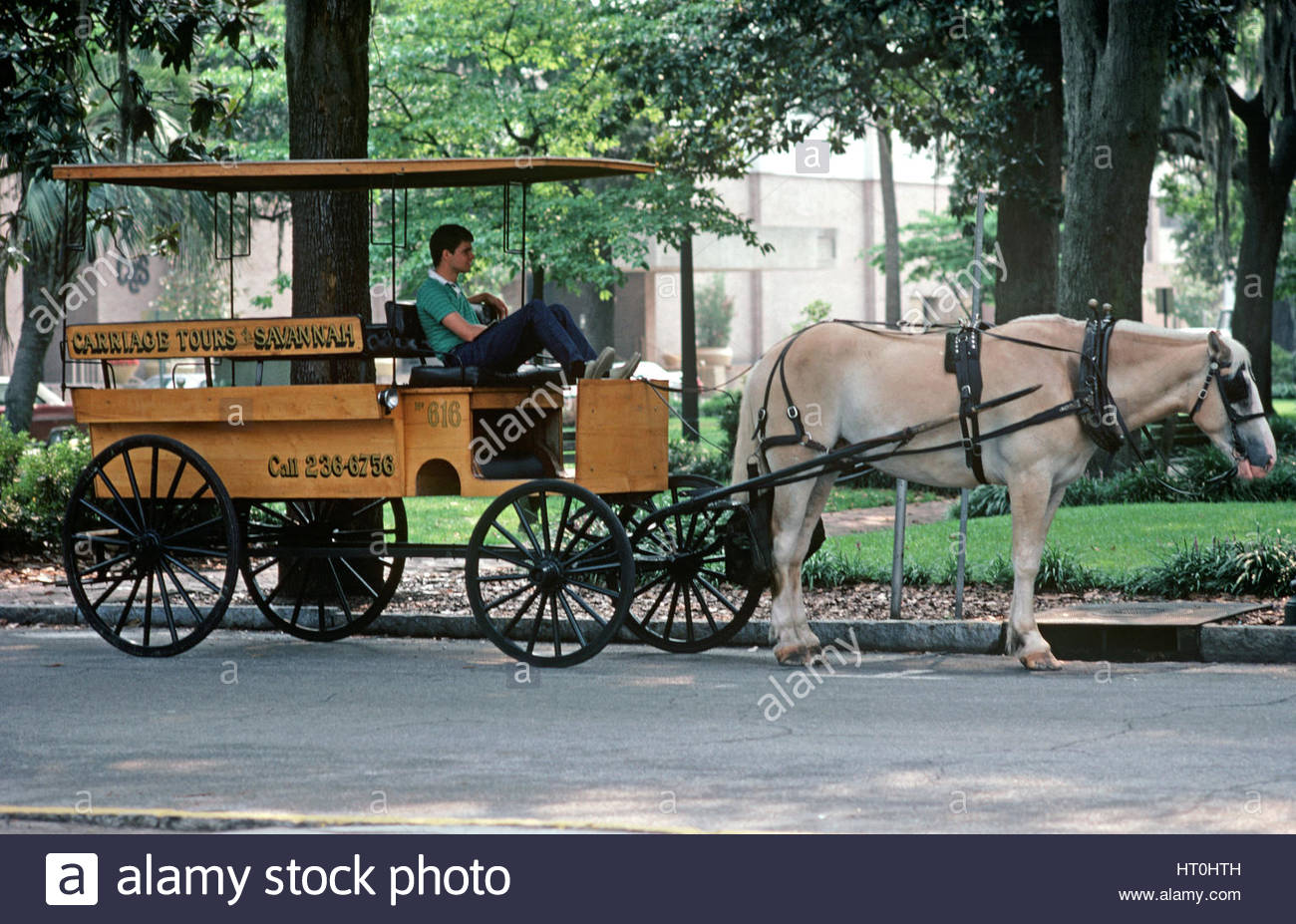 Savannah Georgia Horse Carriage Stock Photos Savannah Georgia
