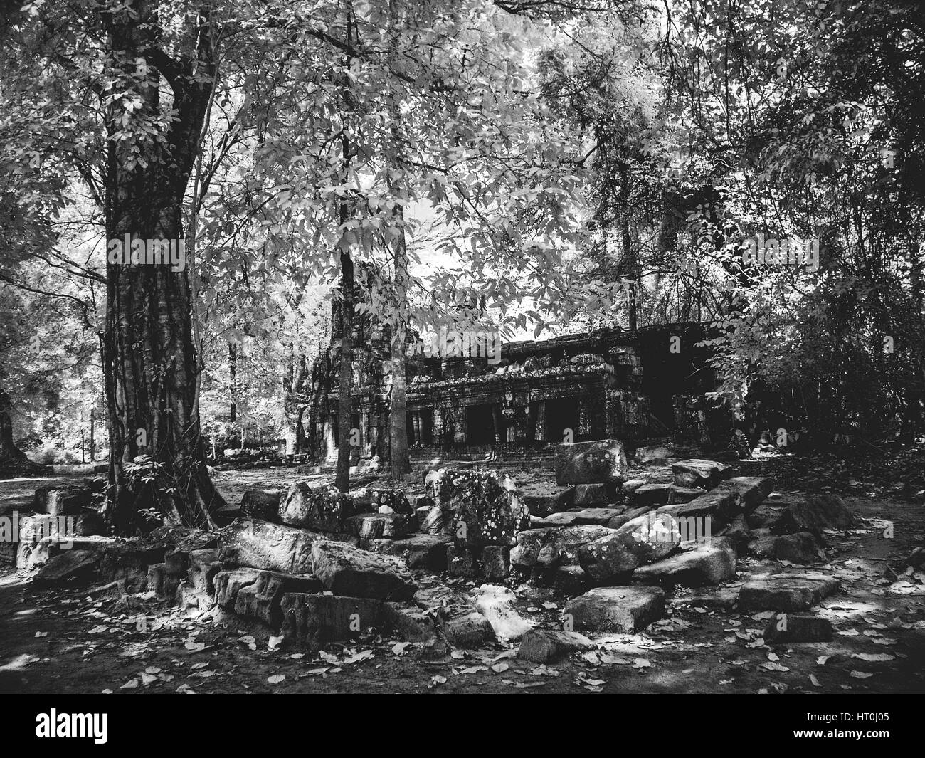 Infrared image of Khmer architechture in Angkor wat, Cambodia Stock Photo