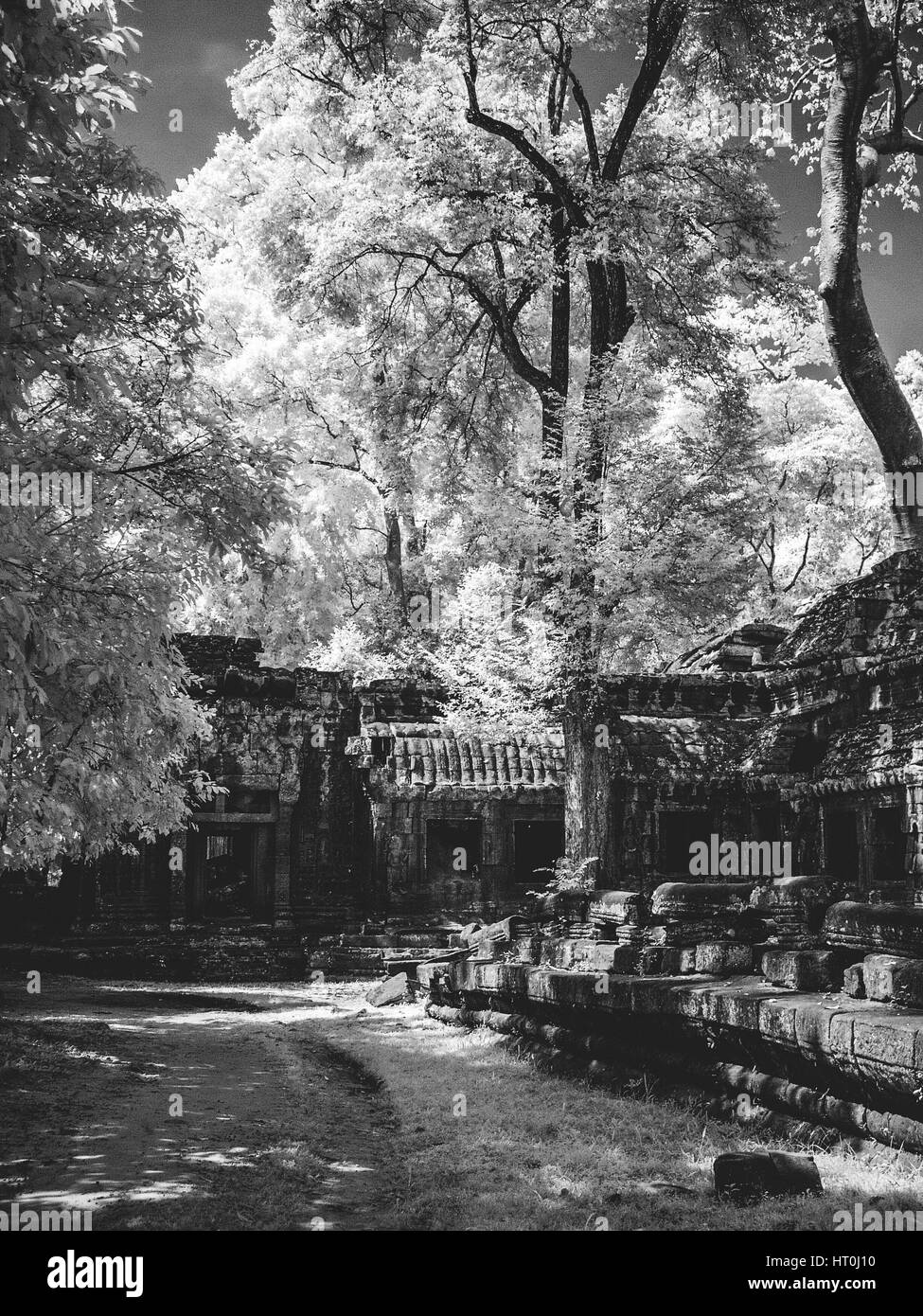 Infrared image of Khmer architechture in Angkor wat, Cambodia Stock Photo