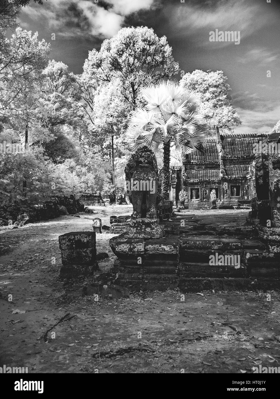 Infrared image of Khmer architechture in Angkor wat, Cambodia Stock Photo