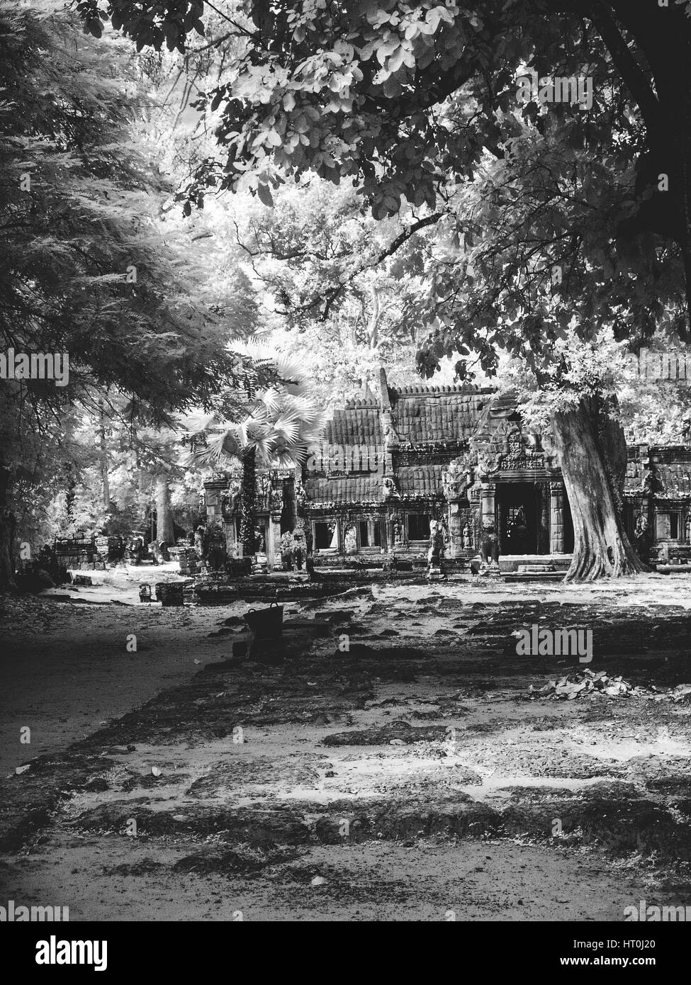 Infrared image of Khmer architechture in Angkor wat, Cambodia Stock Photo