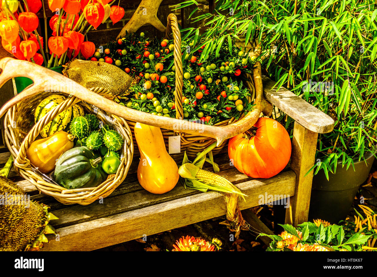 Autumn Basket or Fall Basket with Pumpkins, Butternut, Berries and other Colorful Fruits and vegetables Stock Photo
