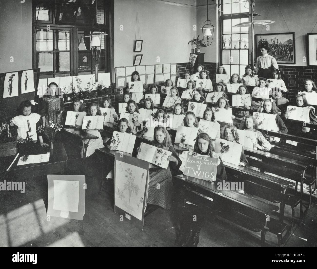 Nature lesson, Albion Street Girls School, Rotherhithe, London, 1908. Artist: Unknown. Stock Photo