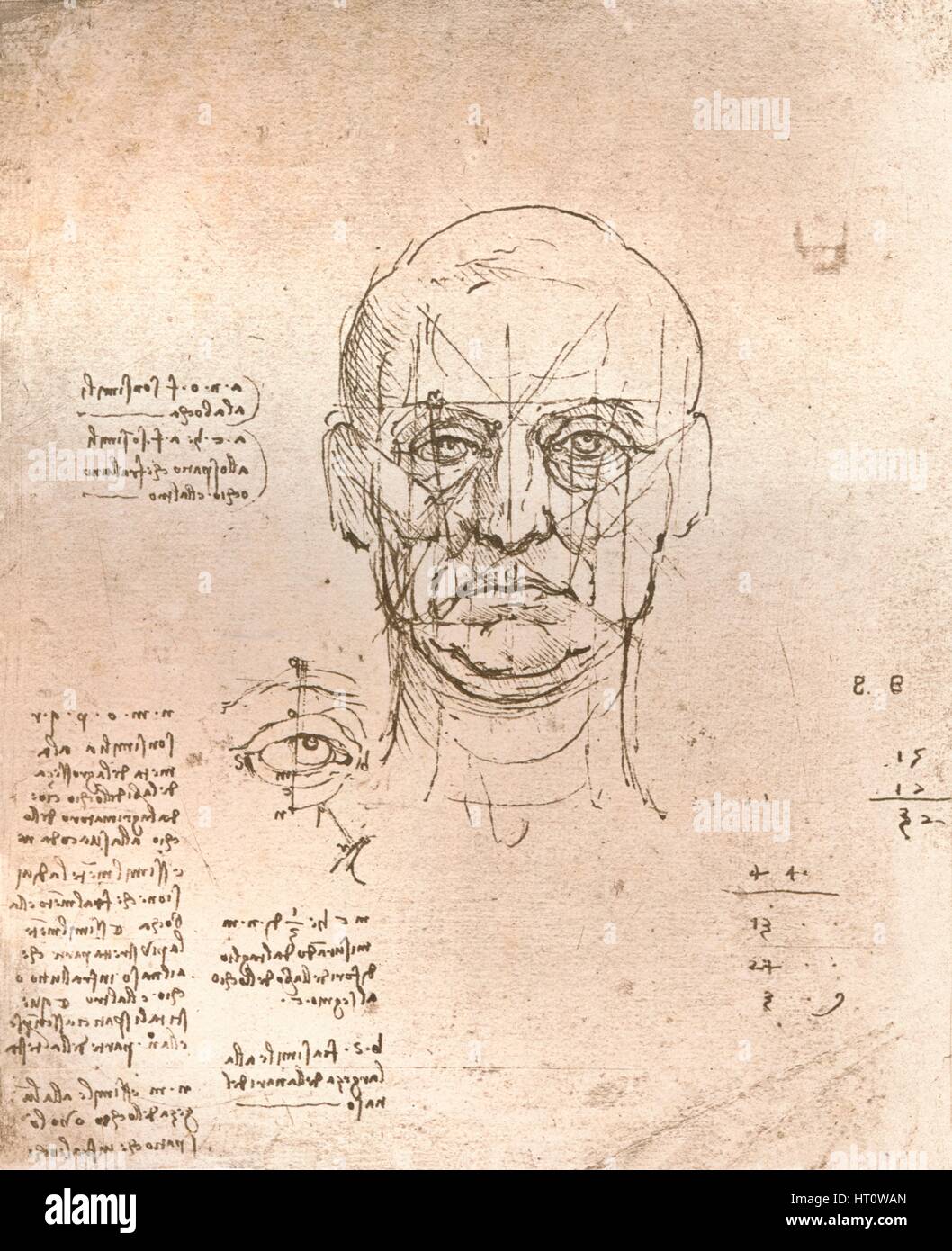 Drawing illustrating the theory of the proportions in the human figure
