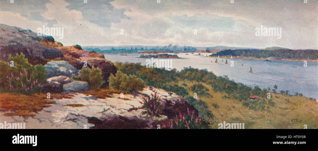 'Sydney From Vaucluse', c1906. Artist: Henri Tebbitt. Stock Photo