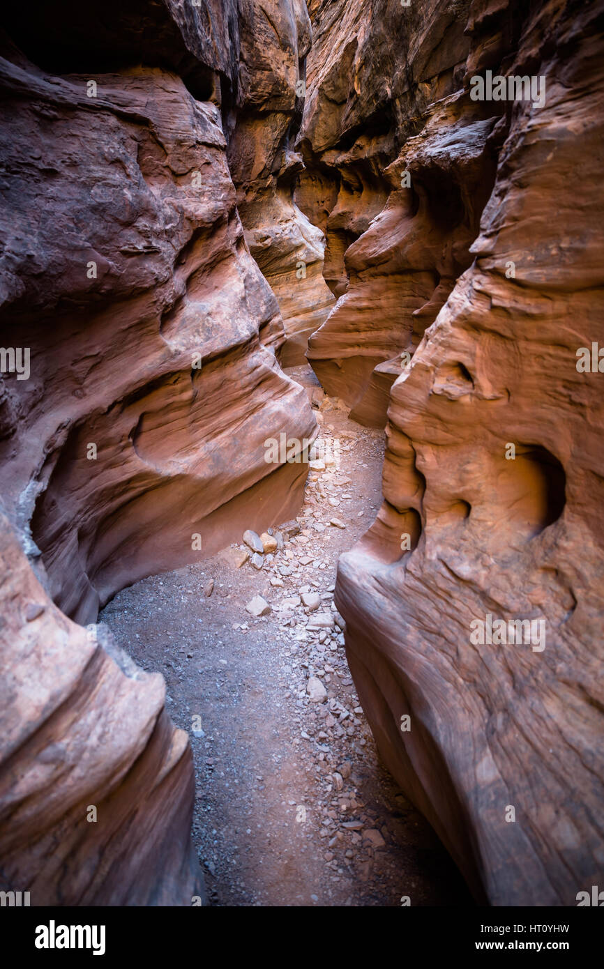 The narrows section of Little Wildhorse Canon in Southern Utah. deep inside the slot canyon it is dark and strange shapes in the sandstone walls creat Stock Photo