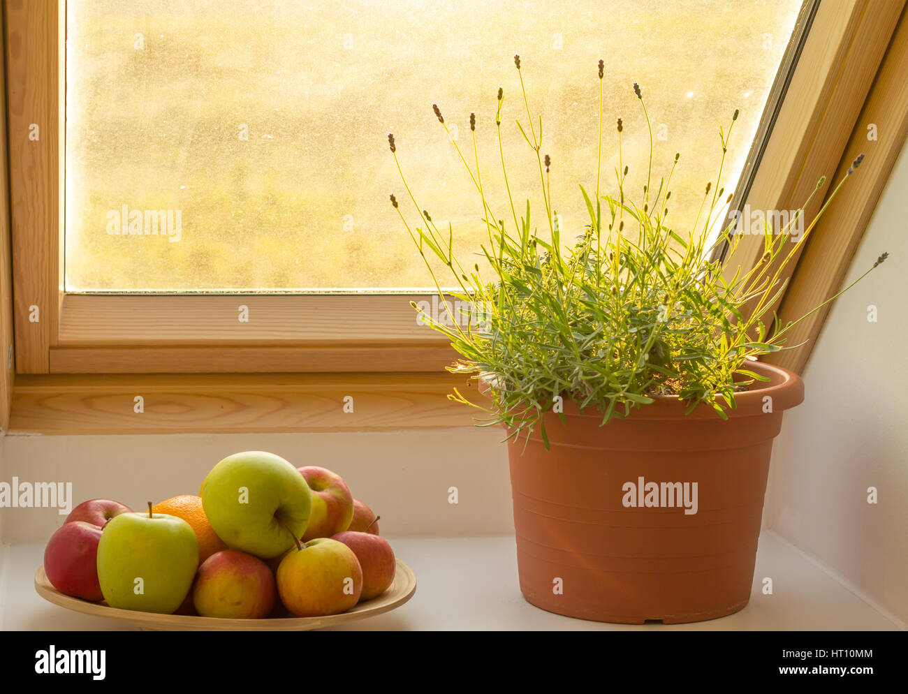 herbs on window sill Stock Photo