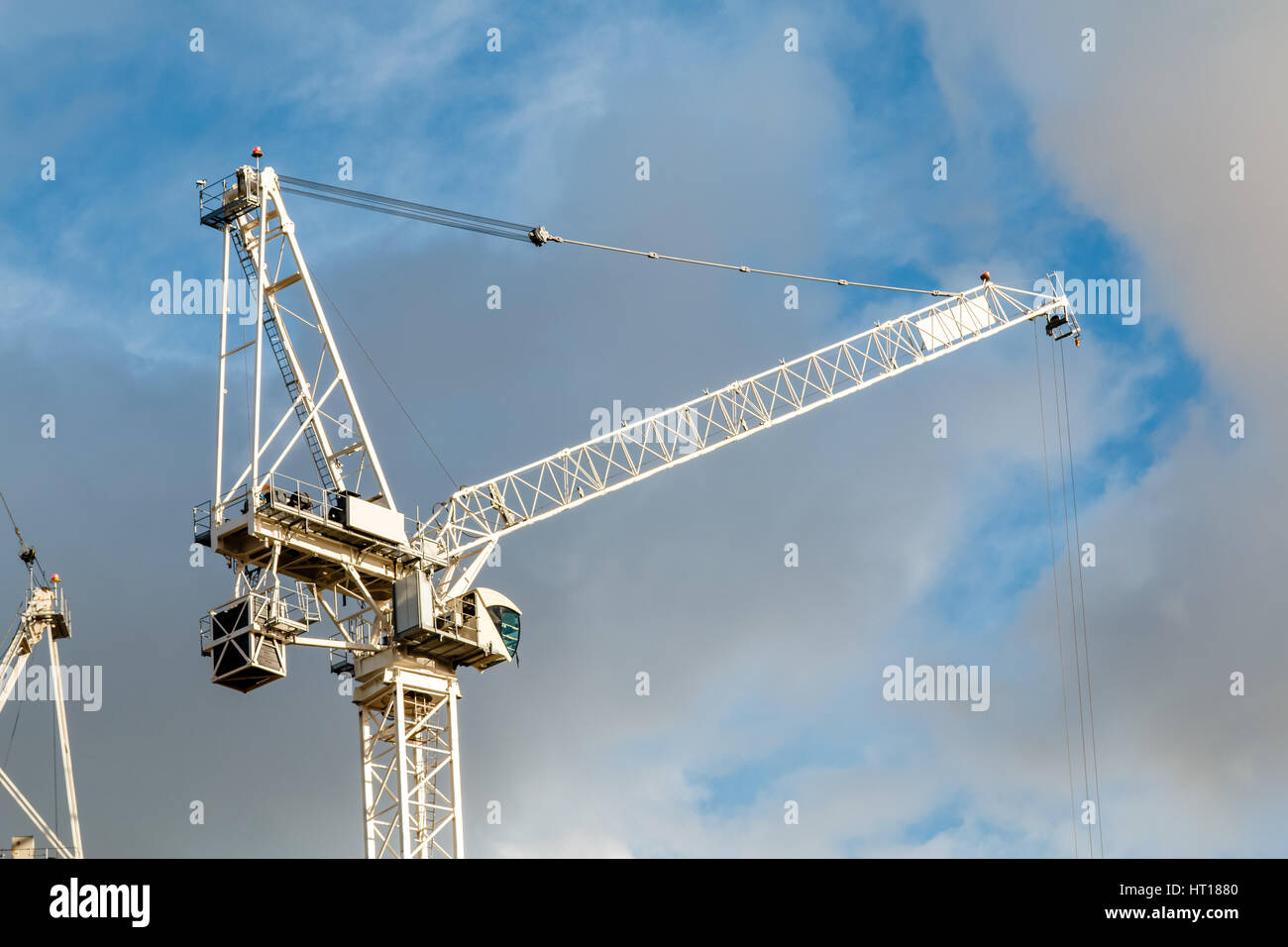 【原画】『Crane in the Clouds』 61qJCkN9-4L._UF350,350_QL50_.jpg