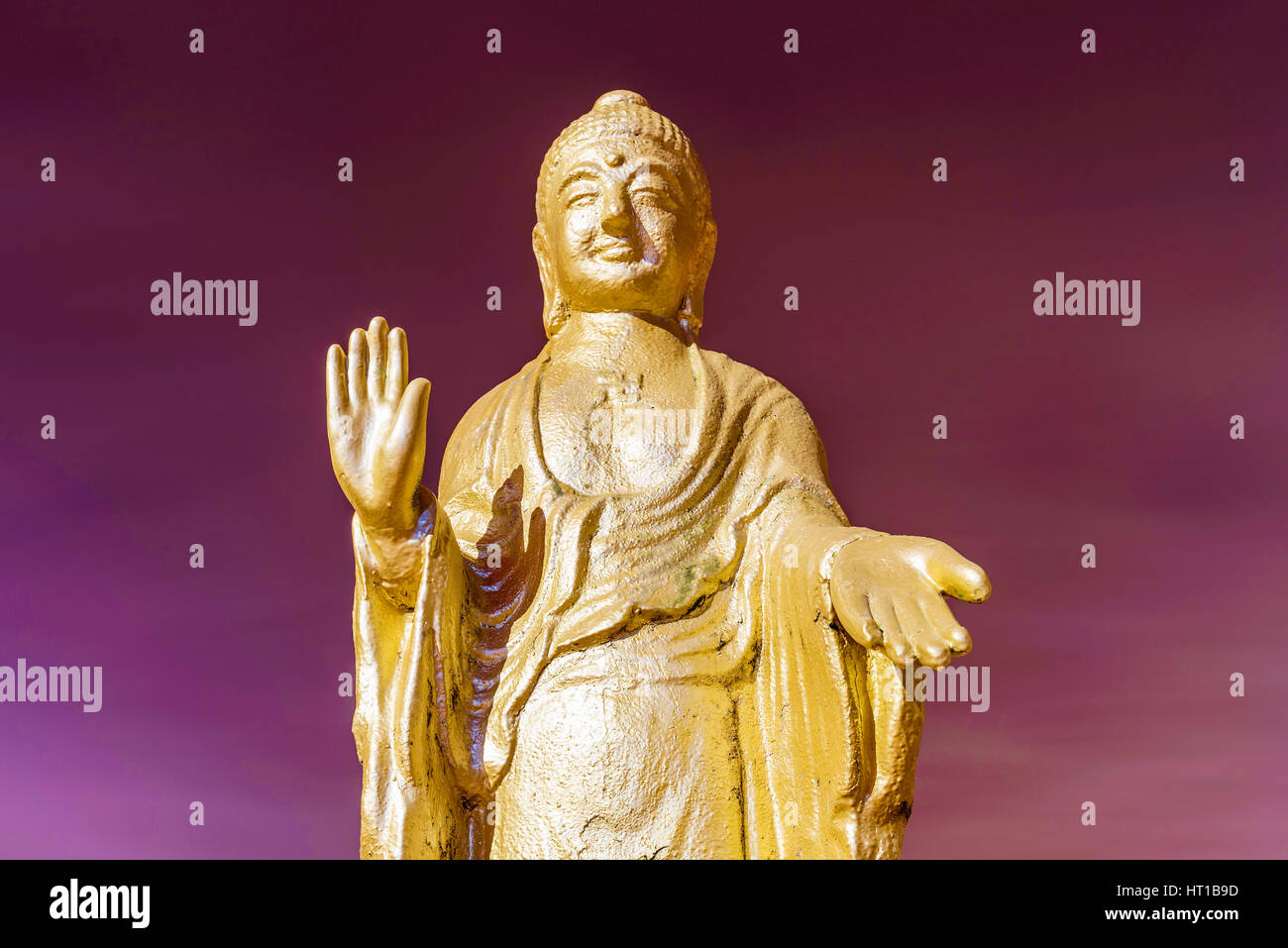 Buddha statue close up at night Stock Photo