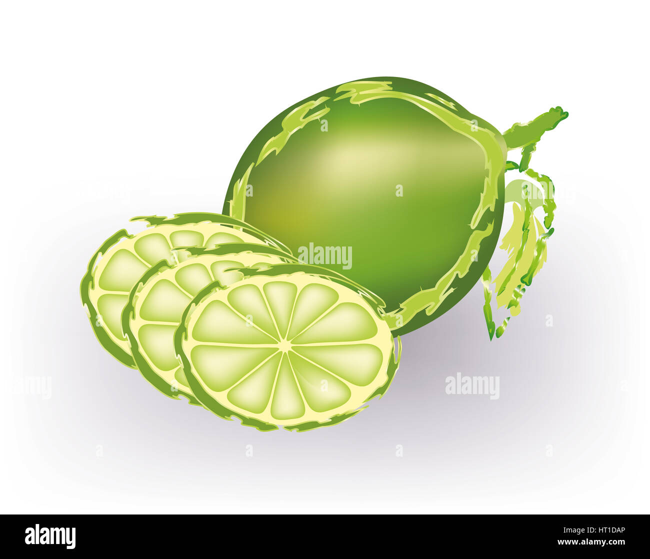 Juicy Limes and lime slices Stock Photo Alamy