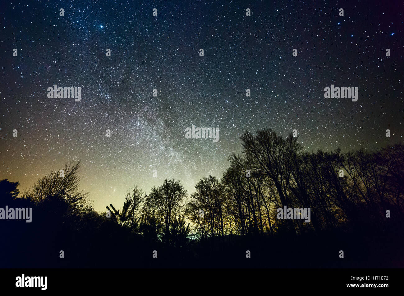 Starry night with part of Milky Way over a forest Stock Photo - Alamy