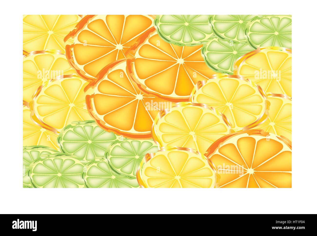 Slices of oranges, lemons, and limes Stock Vector