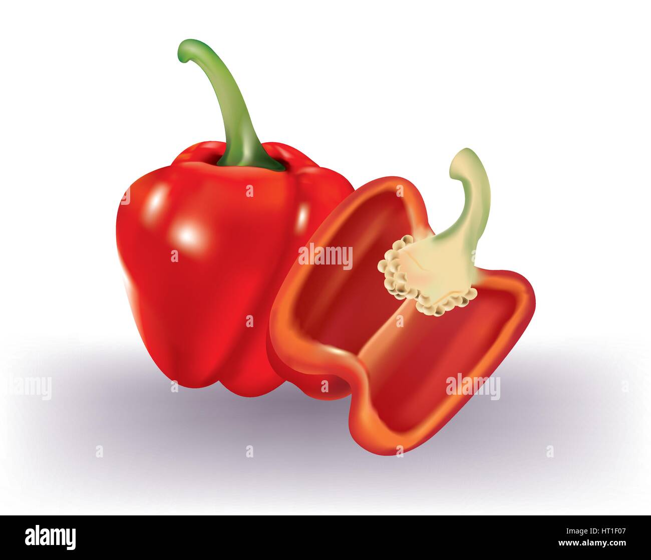 Bright red peppers on white background Stock Vector