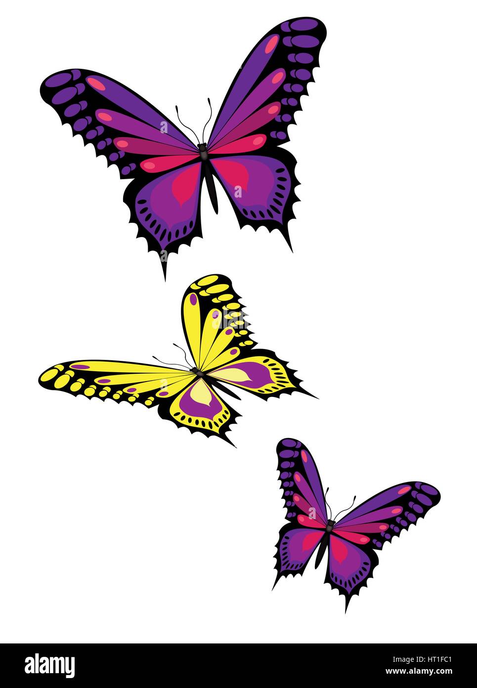 beautiful Butterflies Stock Vector