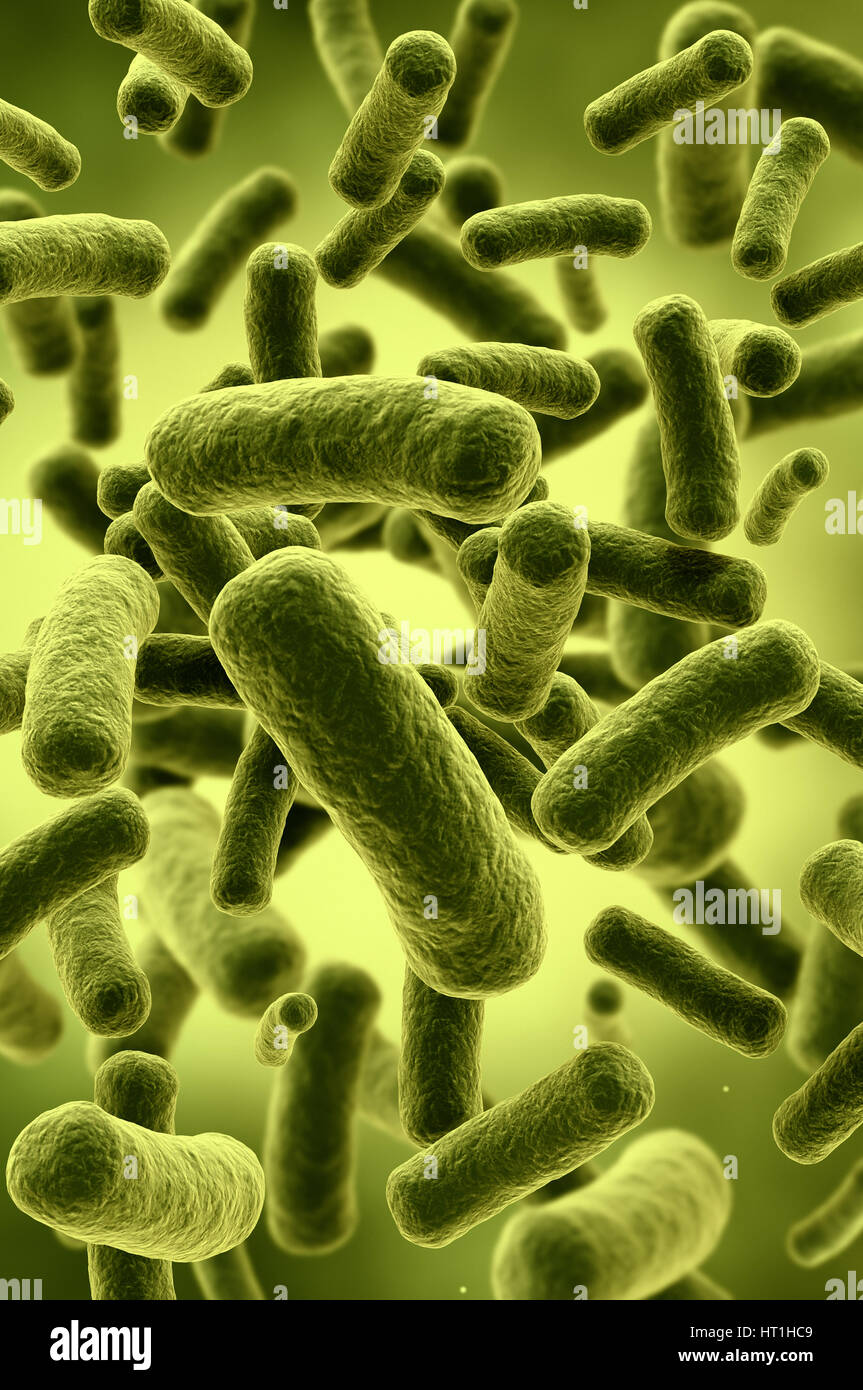 Illustration of bacteria cells Stock Photo
