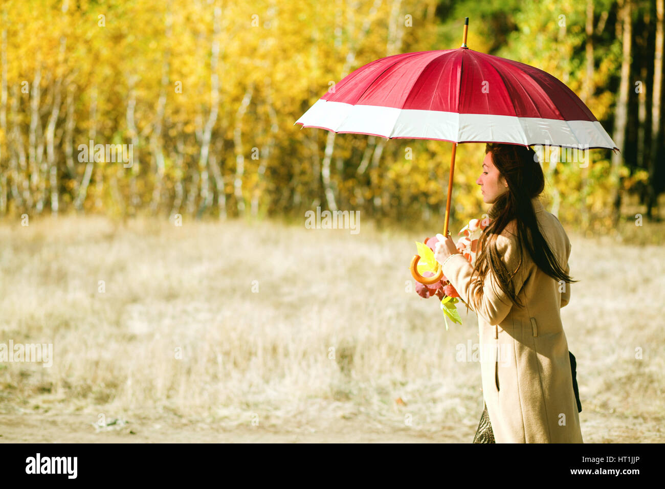 woman walk in autumn forest with umbrella Stock Photo - Alamy