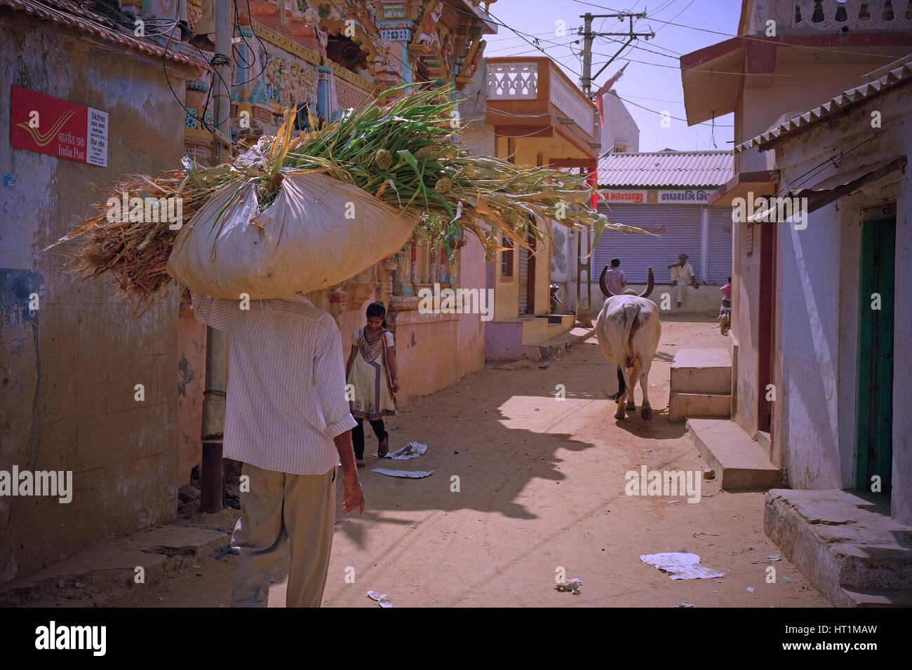 Cattlefeed hires stock photography and images Alamy