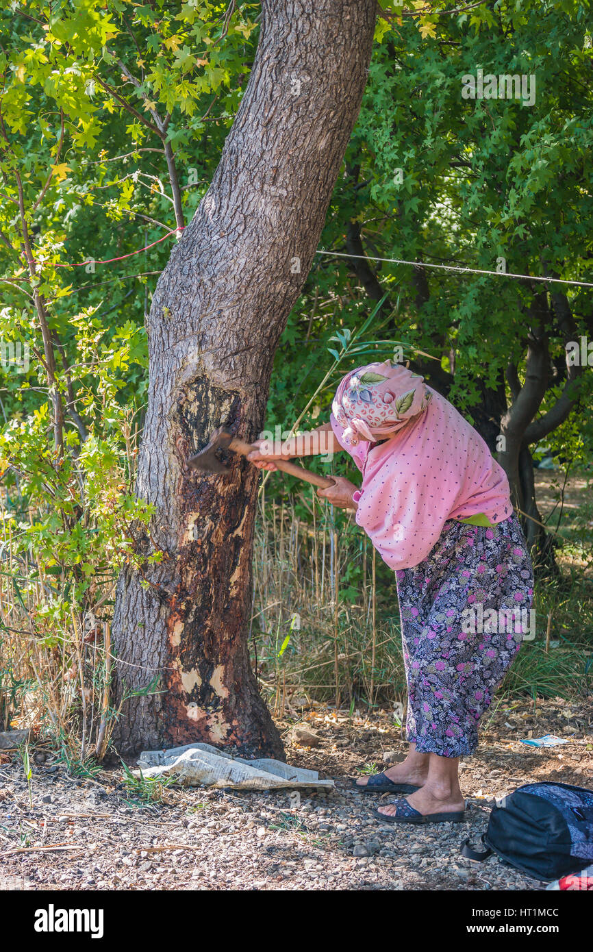 old peasant woman chopping tree in the forest Stock Photo