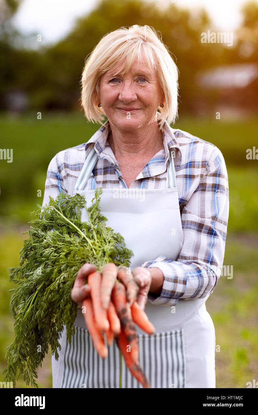 Older woman showing domestic grown carrots in garden Stock Photo