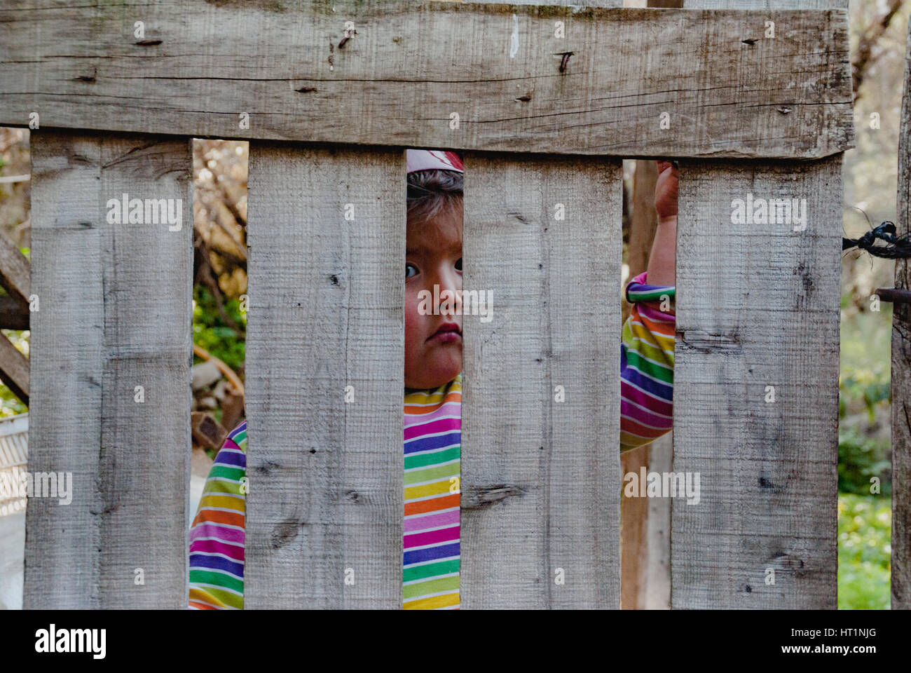 shy baby girl behind the wooden fence outdoor,looking inquisitive Stock Photo