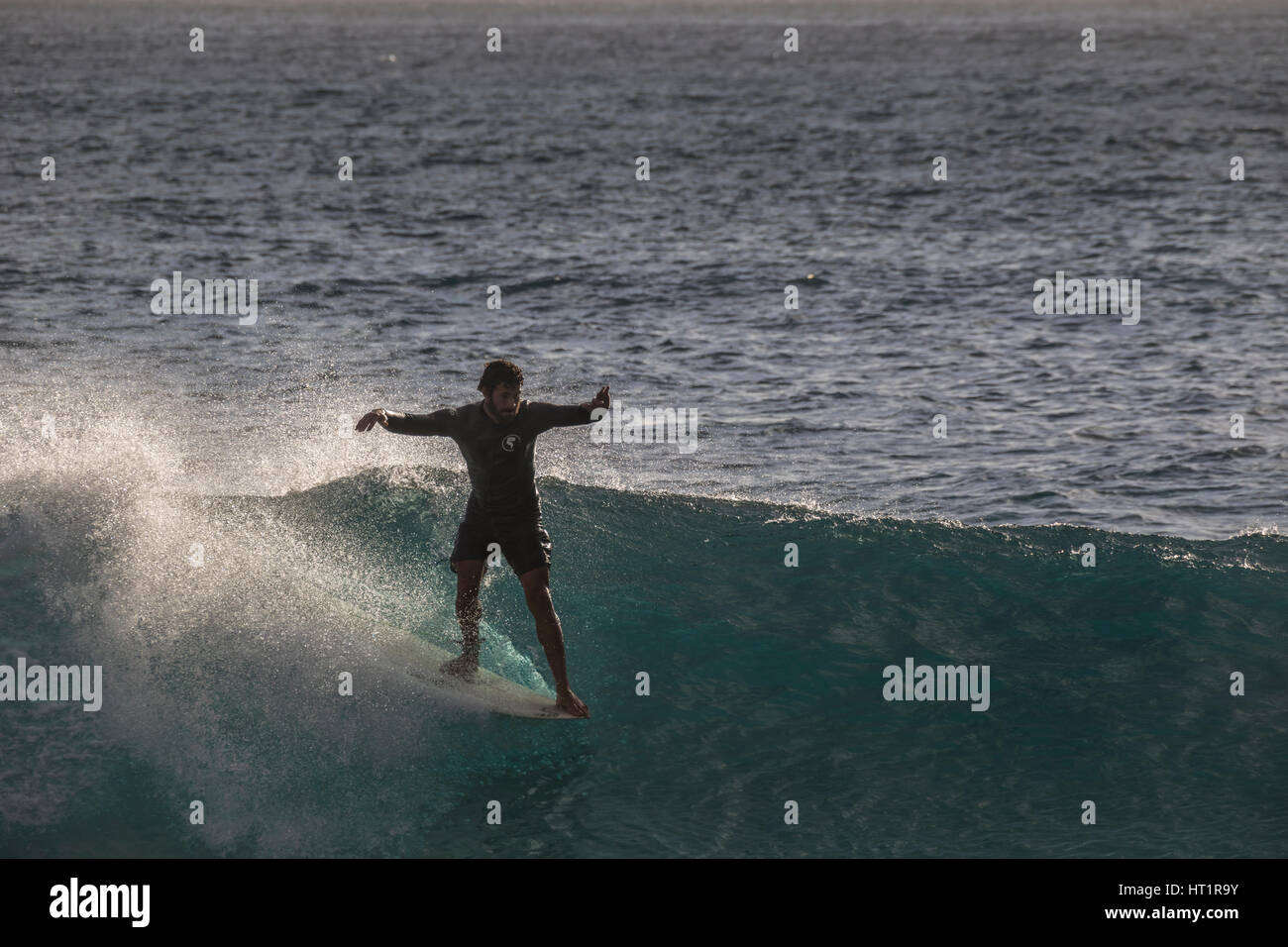 A surfer riding the nose of a longboard at Makapu'u beach park Stock
