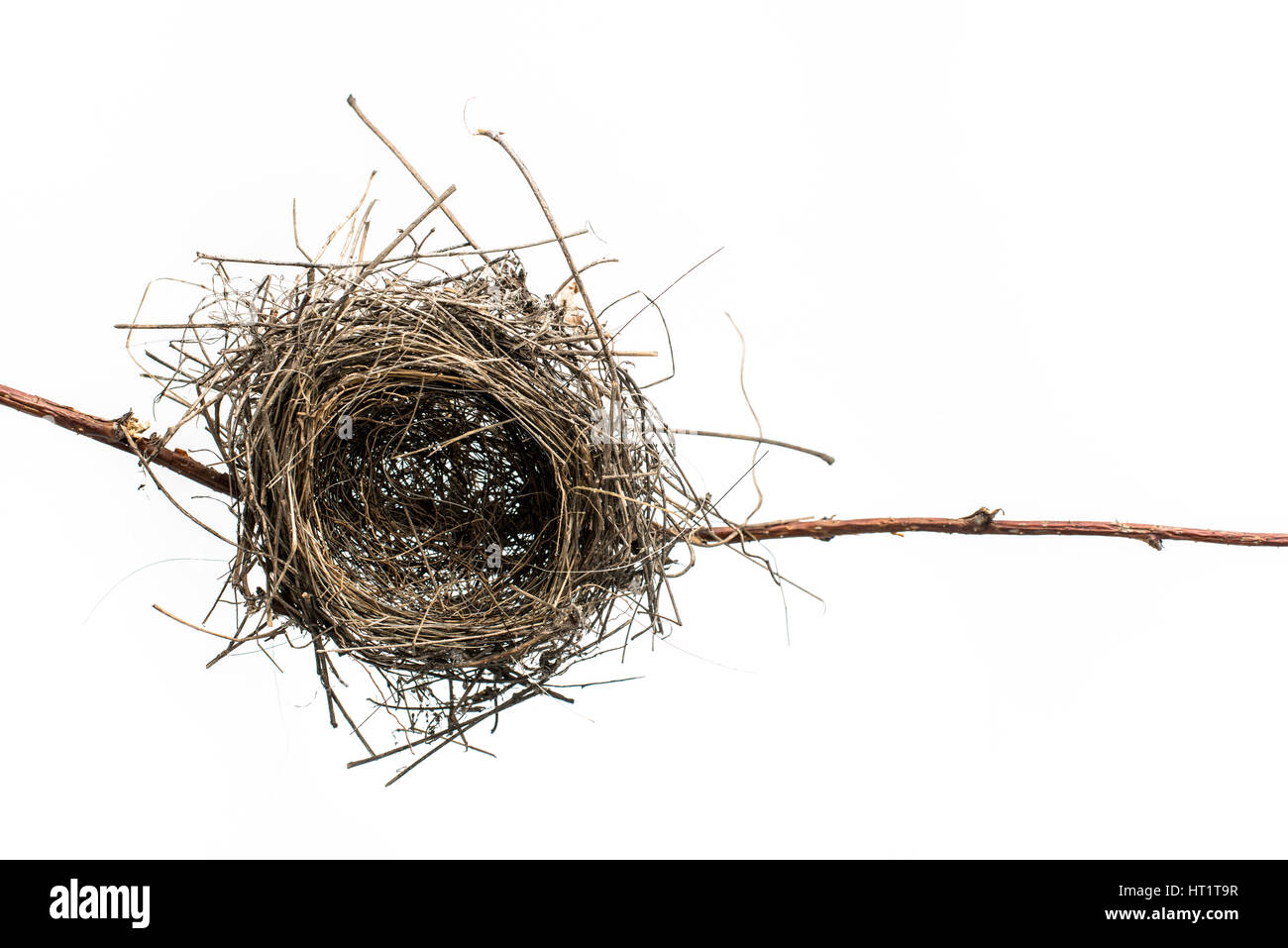 Abandoned nest on the old tree branch, isolated on white background. Empty Bird Nest. Stock Photo