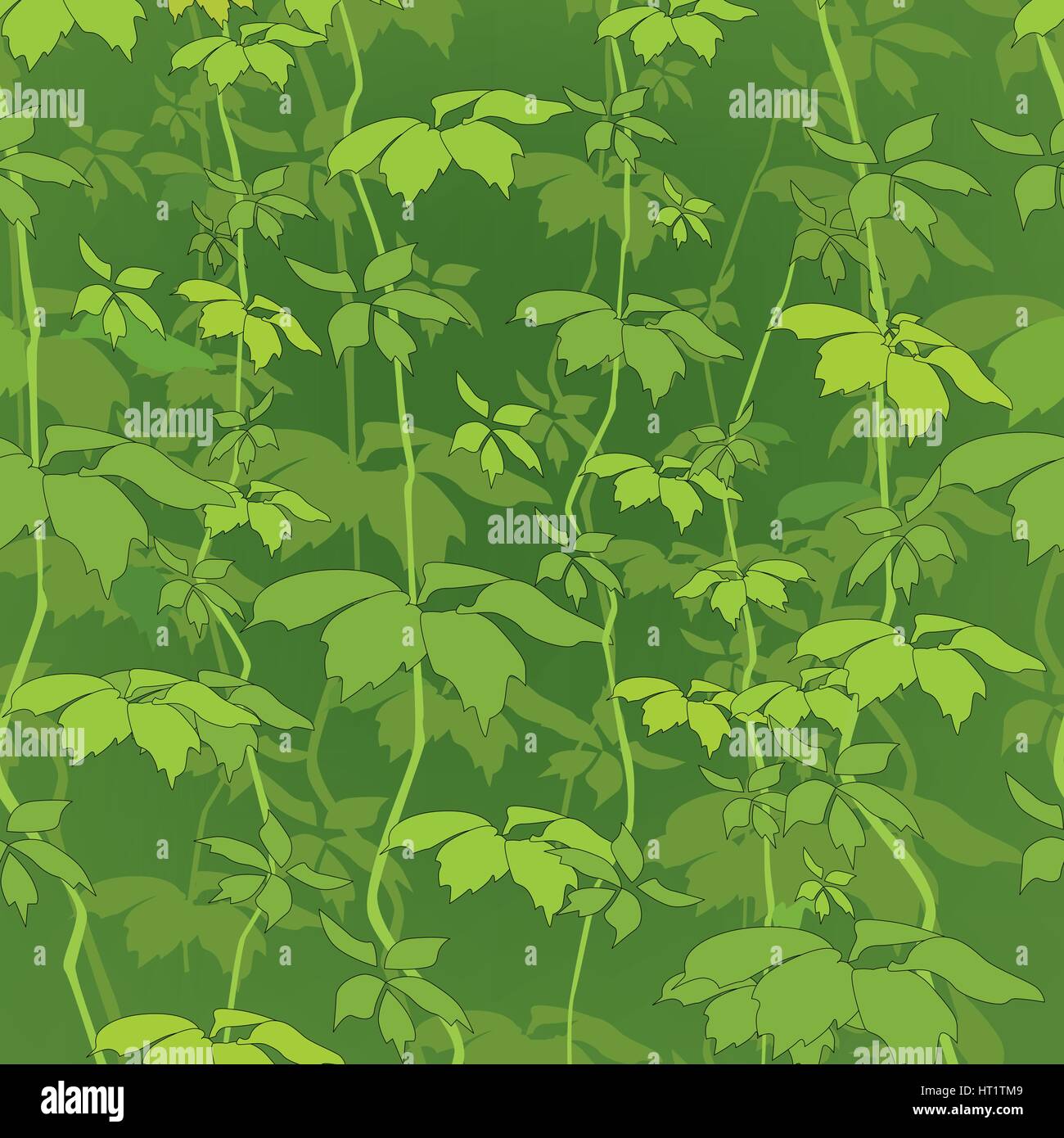 Floral pattern. Flower seamless background. ornamental garden Stock ...