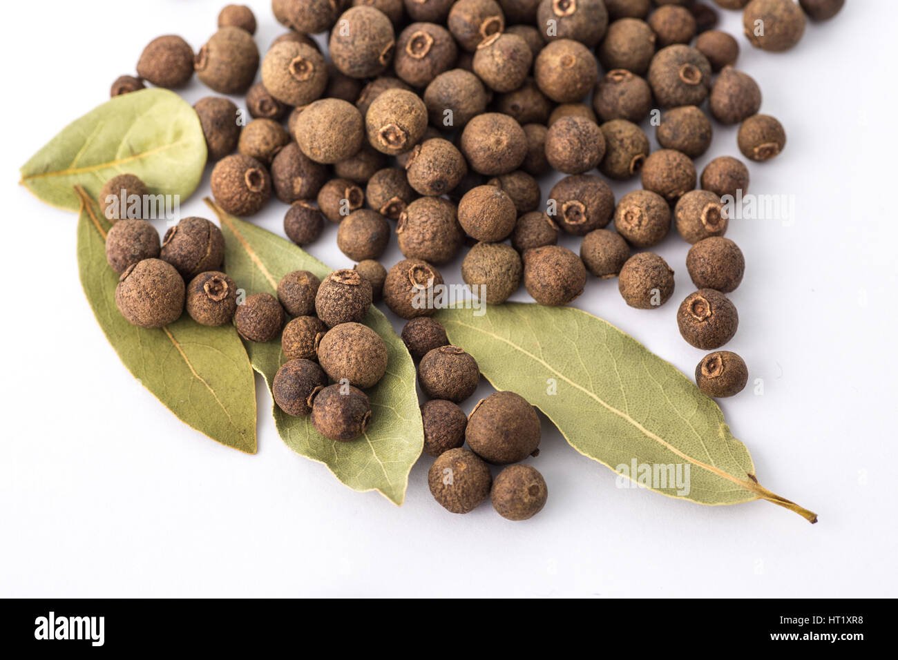 Allspice tree hires stock photography and images Alamy