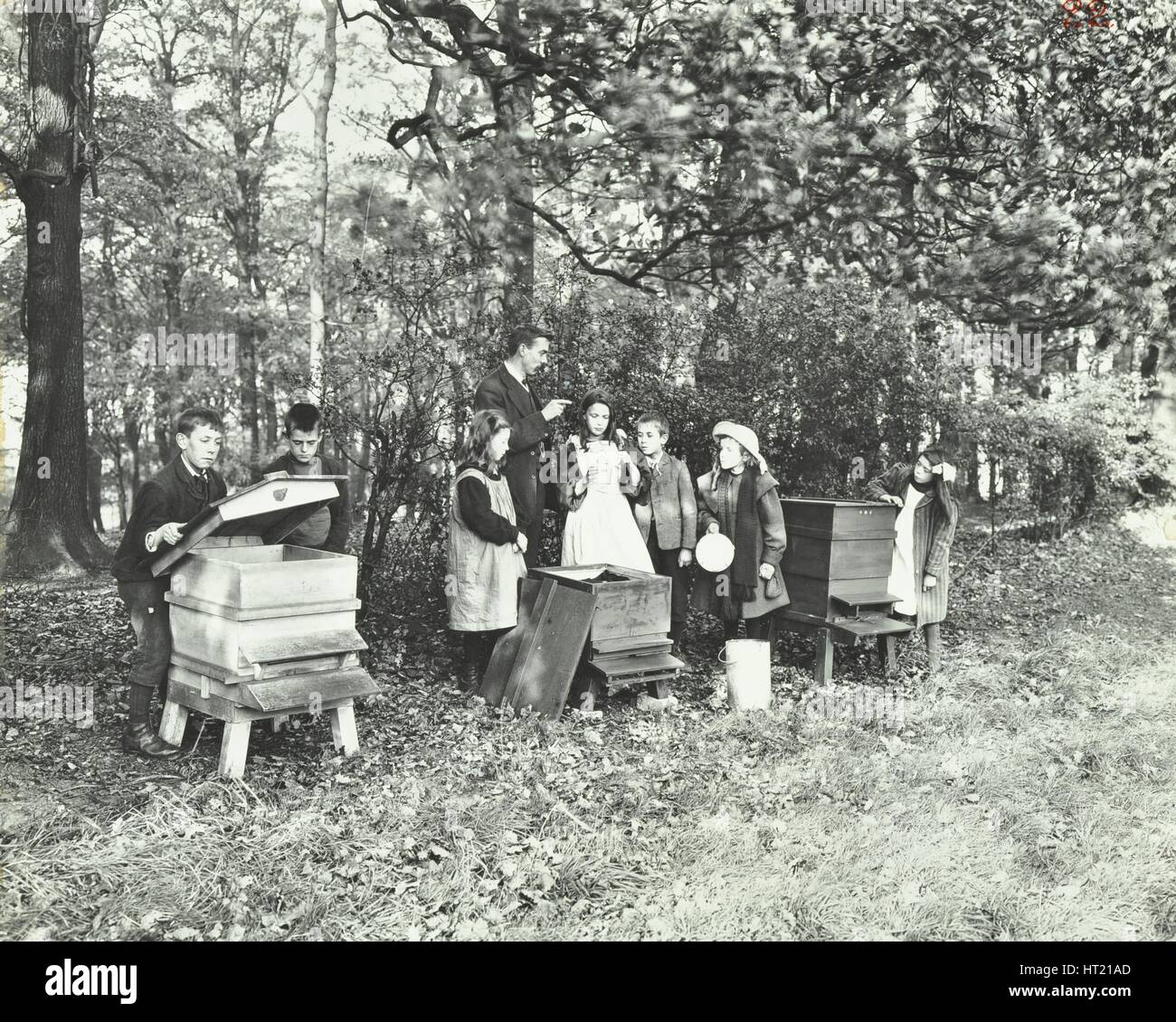 Children feeding bees for the winter, Shrewsbury House Open Air School, London, 1909. Artist: Unknown. Stock Photo