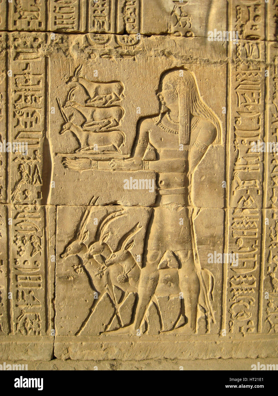 Relie fon the wall of one of the of the temples of Kom Ombo depicting elks. .The southern temple was Artist: Werner Forman. Stock Photo