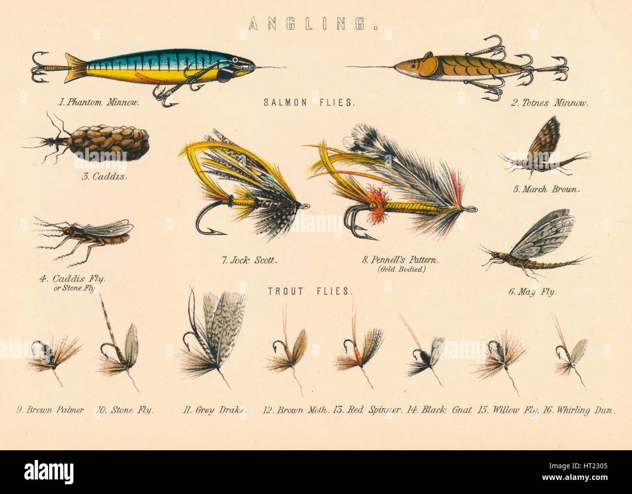 C. 1963 WET FLIES Lithograph Original Vintage Print Fresh Water Fishing  Angling Fly Fishing Trout Salmon Bass Bait Fly Tying 