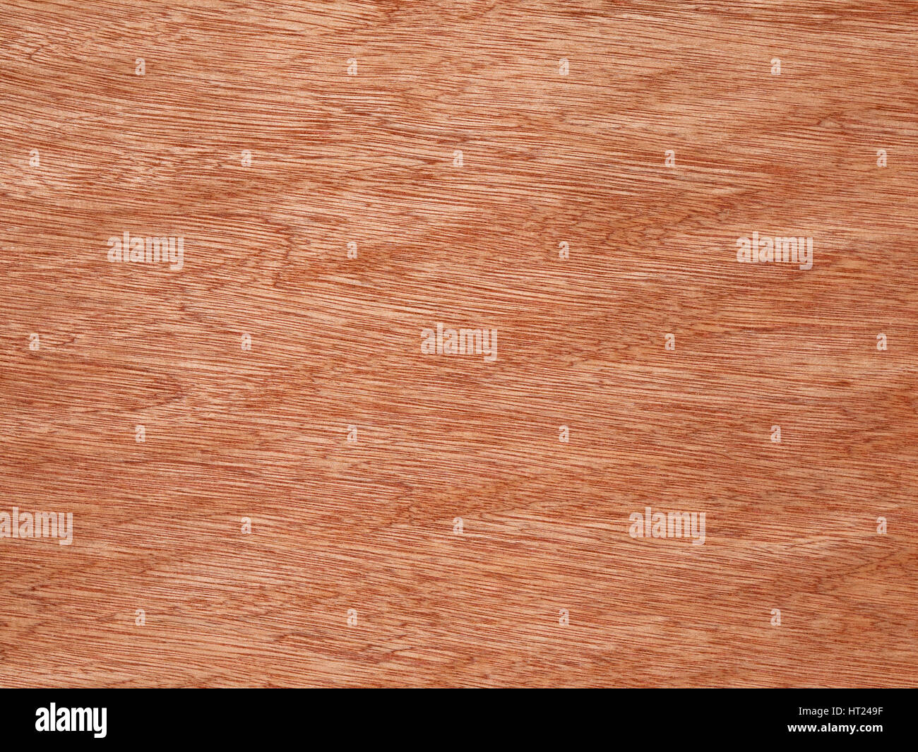 Orange color wood grain texture surface detail. Stock Photo