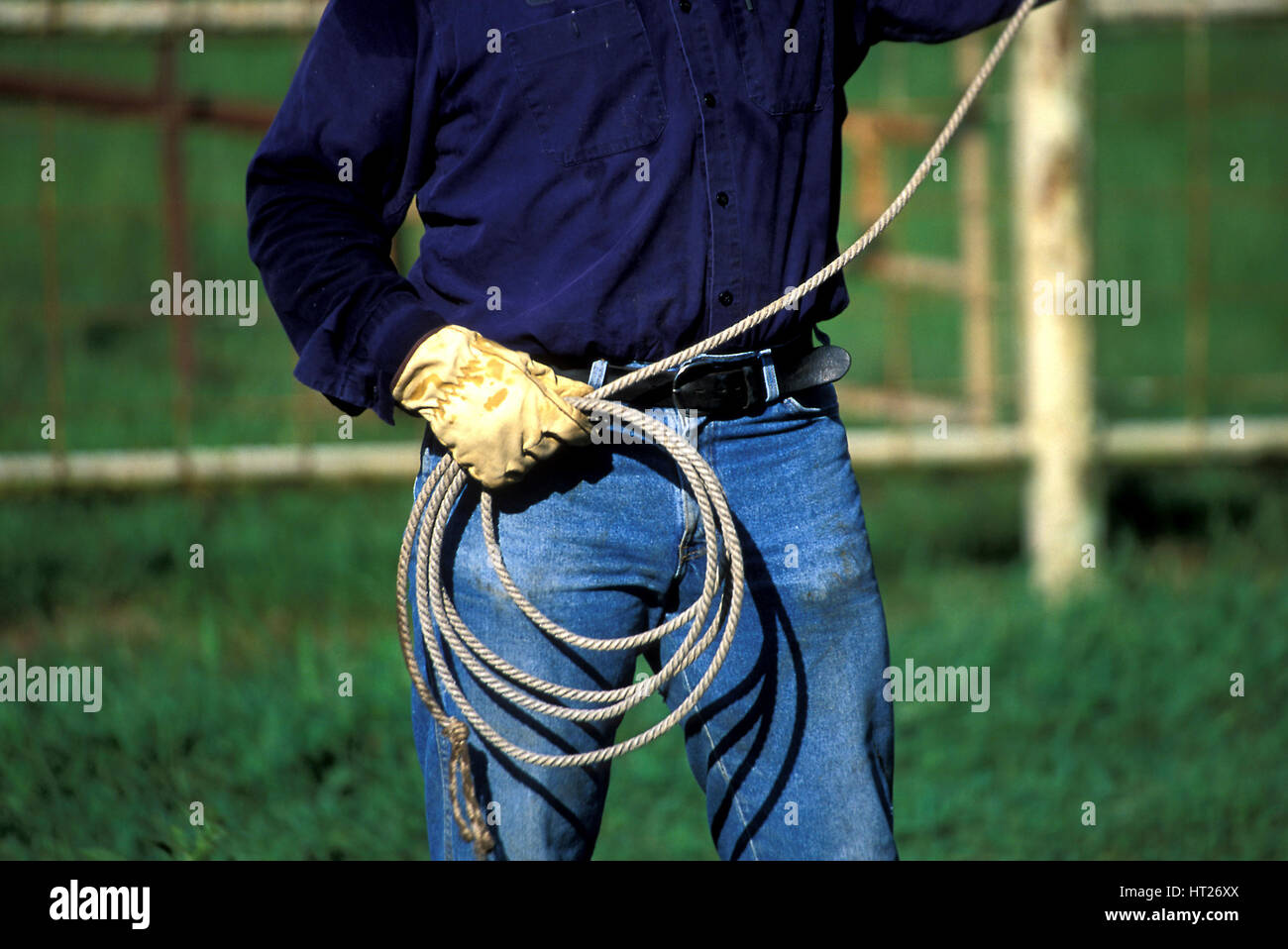 A cowboy with rope at a ranch Stock Photo - Alamy