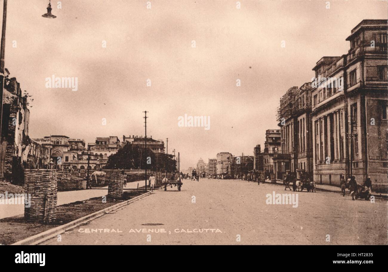 'Central Avenue, Calcutta', c1900. Artist Unknown Stock Photo Alamy