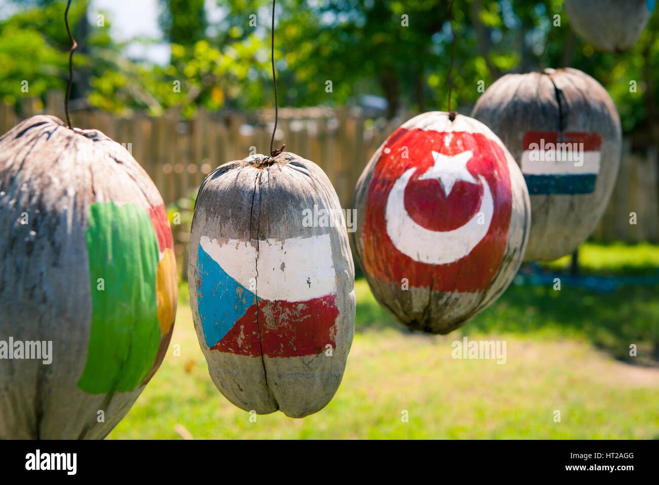 Many flags of countries painted on the coconuts Stock Photo
