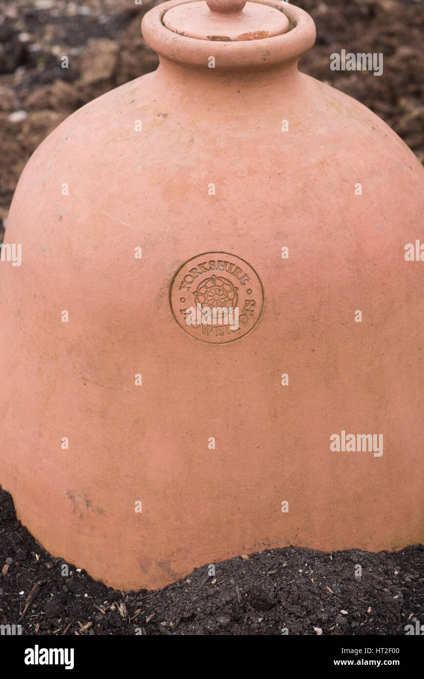 Terracotta pots uk hires stock photography and images Alamy